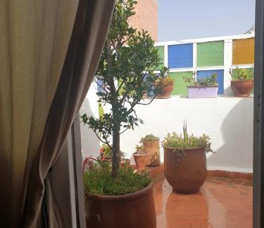Medina House | Dar Adul