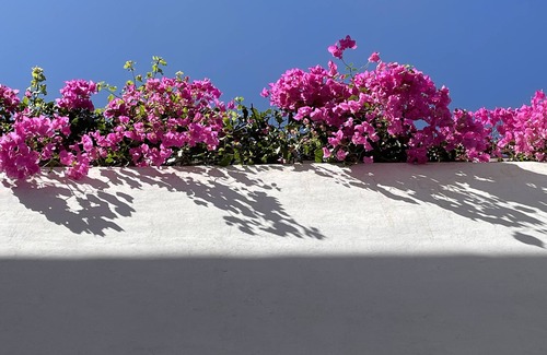 Nabeul House | Dar Hirondelle, charming Riad in the medina with swimming pool
