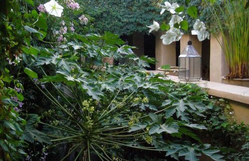 Taroudannt House | Dar Zahia