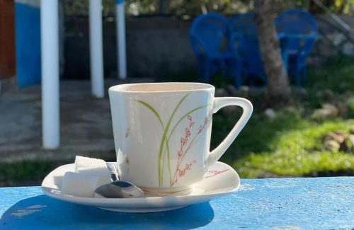 Laghdir Other | Dar zitouna
