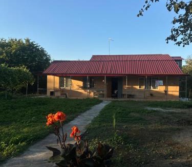 Samegrelo-Zemo Svaneti House | Darcheli Monika Village