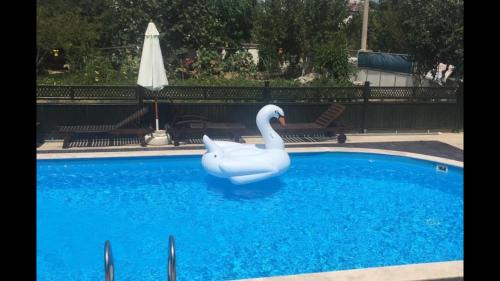Canakkale Apartment | Dardanos Pension