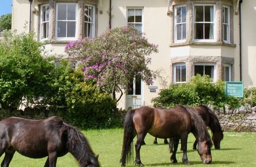 Belstone Bed & Breakfast | Dartmoor House B&B