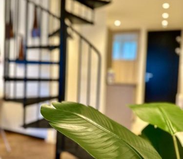 Bad Mitterndorf Apartment | Das Alpenzeit Loft mit Balkon und Grimmingblick