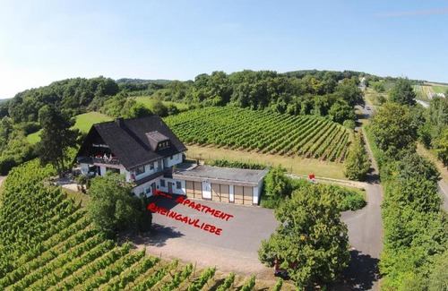 Geisenheim Apartment | DAS Apartment am Weinberg