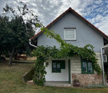 Tarjan House | das haus - kisház a völgyben