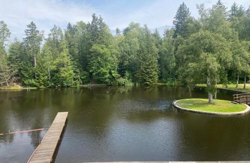 Hasselfelde Apartment | Das Waldseechalet Traumhafter Waldseeblick - großzügige Wohnung - Infrarotsauna
