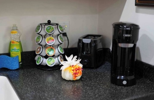 Citrus Park Apartment | Davenport Dream Suite