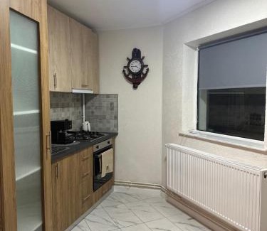 Curtea De Arges Apartment | David apartaments