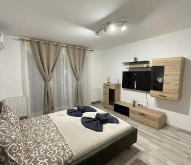 Brasov Apartment | DDM Residence