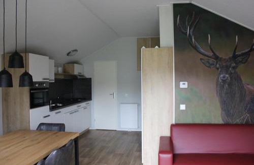 Nunspeet Ski Chalet | De Bijsselse Enk, Noors chalet 4