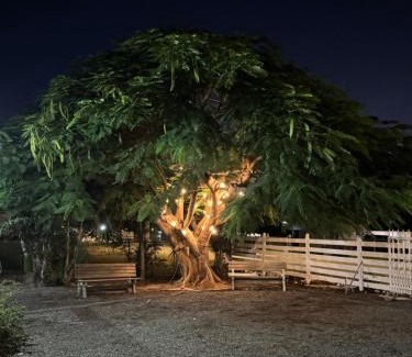 Cabo Rojo Other | De Las Santas Camper