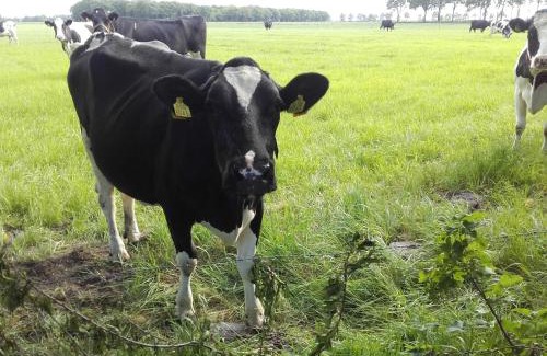 Noord-Sleen Bed & Breakfast | De Oude Smederij