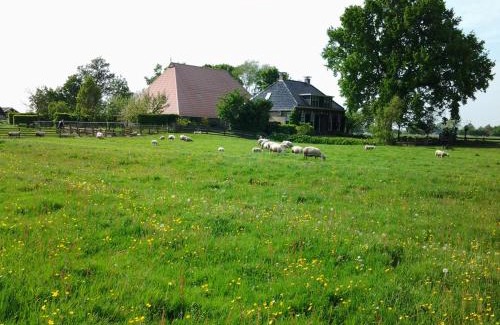 Jutrijp Bed & Breakfast | de Wylgepleats