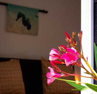 Ellemeet Bed & Breakfast | De Zilte Zeehoeve