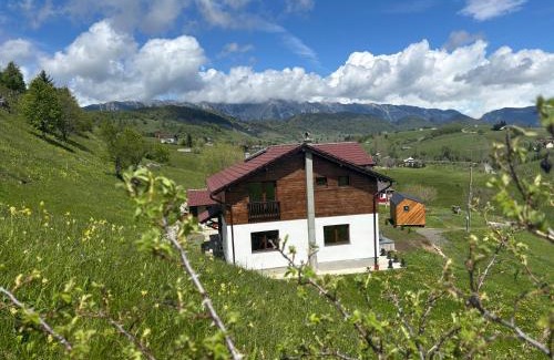 Sirnea House | Dealul Craiului