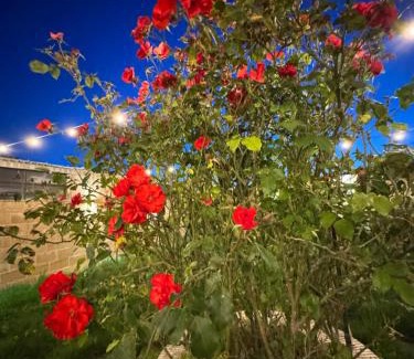 San Cesario di Lecce Bed & Breakfast | Dear Mary, B&B romantico vicino Lecce nel cuore del Salento
