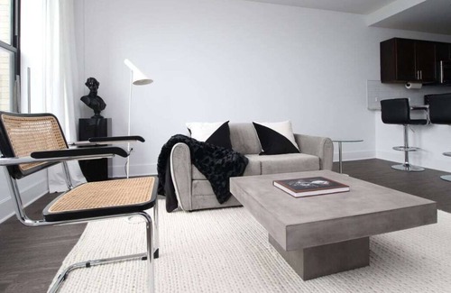 East Hyde Park Apartment | Debonair HP 1BR with Fast Transit to UChicago