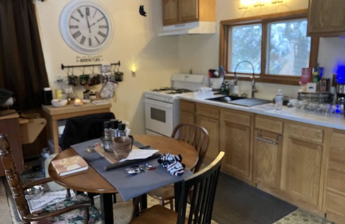 Orr Cabin | Deep Forest Cabin in Minnesota’s Arrowhead