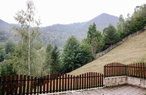 Brosteni Ski Chalet | Deer Chalet Brosteni