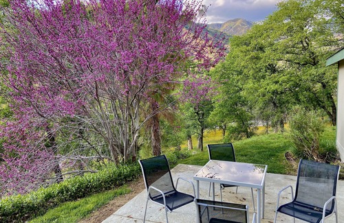 Three Rivers House | DEER RIDGE * Unbeatable Location! Amazing Views! Family Friendly!