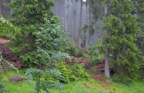 Pamporovo Apartment | Deer's Home at Elit Pamporovo