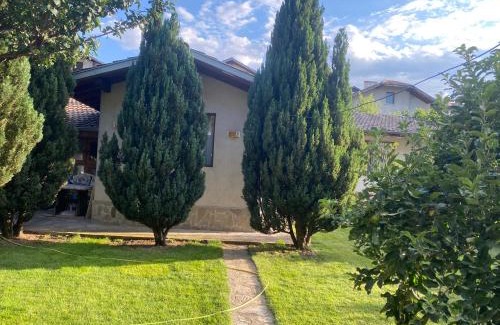 Old Town House | Deers