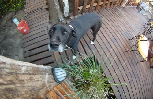 Villa Gesell Cabin | Del Bosque Surf Ranch