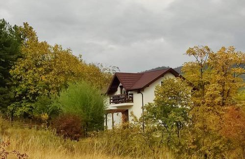 Scortoasa House | Deleni Retreat - Casa Sitaru
