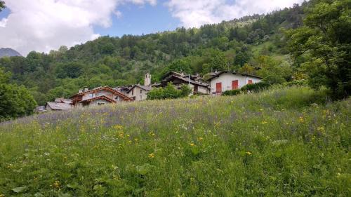 Casteldelfino Hotel | Delfin Dal Pianhol