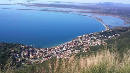 Menidion Hotel | Delfini Hotel