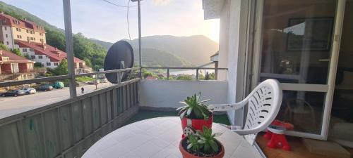 Pluzine Apartment | Delicious