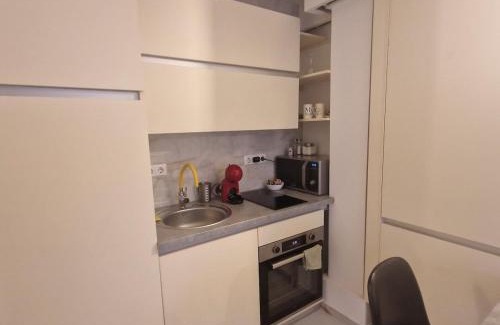 Baia Mare Apartment | Delightful apartment in Old Town