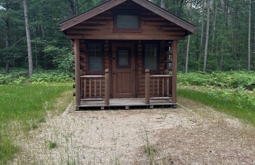Big Rapids Cabin | Delightful cabin in Big Rapids for a cozy getaway