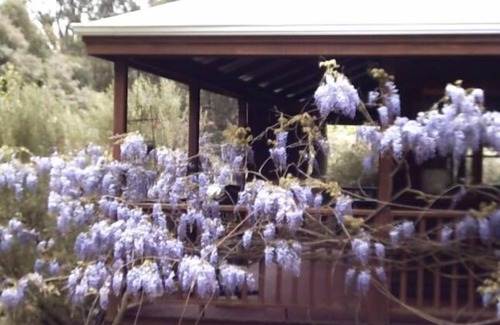 Nannup Cottage | DELIGHTFUL Country Cottages with cedar spas- we're isolated and peaceful.