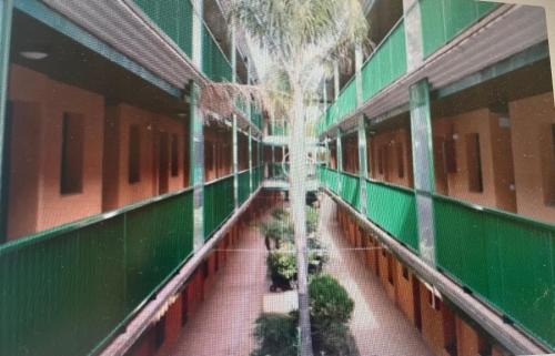L'Eucaliptus Apartment | Delta libertad