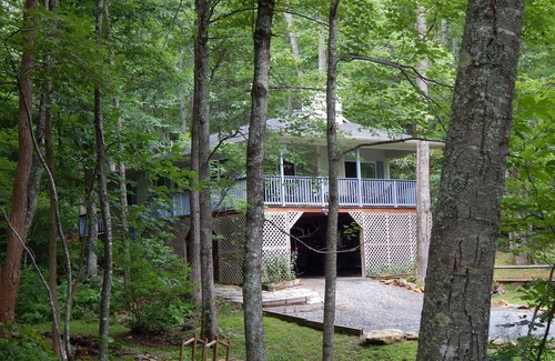 Fleetwood House | Deluxe Bargain Priced 2/2 Mtn Home Near Blue Ridge Pky w/Outdoor Fireplace WIFI
