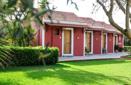 Minia Apartment | Dendrolivano