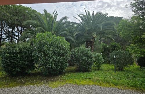 Lido di Capoliveri Apartment | Depandace Lido di capoliveri