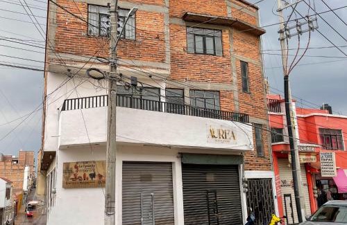 San Juan de los Lagos Apartment | Departamento Blomi