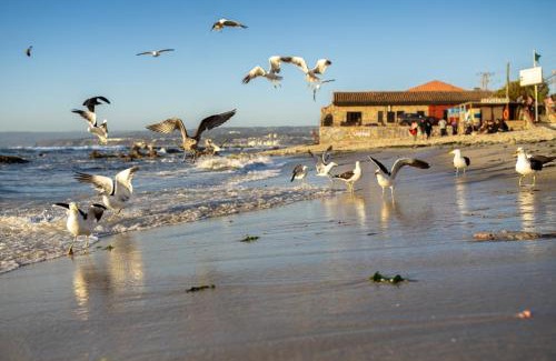 Algarrobo Apartment | Departamento de Vynka