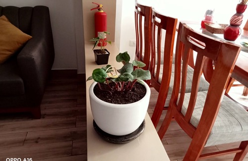 Huaraz Apartment | Departamento en Segundo Piso con Capacidad Hasta 6 Personas