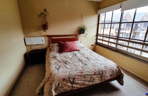 Concepcion Apartment | Departamento Valle Escondido