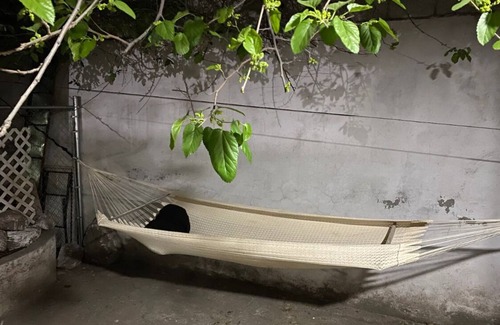 Ecatepec de Morelos House | Descansa y Conecta en Casa Luna, Tranquila y Segura Proxima al Aifa