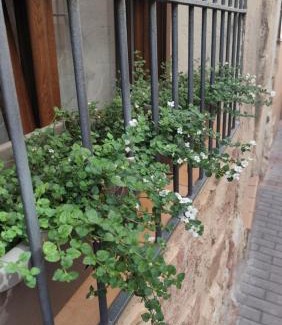 Molina de Aragon House | Descubre el Señorío