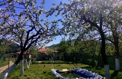 Viisoara House | Desculti prin iarba- la 6,6 km de centrul Piatra Neamt