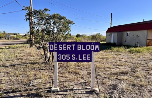 Marathon House | Desert Bloom