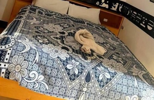 Luxor Bed & Breakfast | Desert paradise Hotel