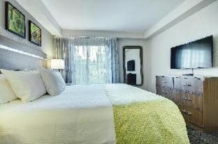 Las Vegas Resort | Desert Rose Resort