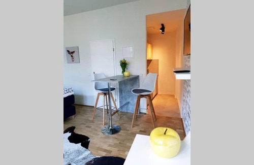 Wilsdruffer Vorstadt/Seevorstadt-West Apartment | Design Apartment in der Dresdner Altstadt..